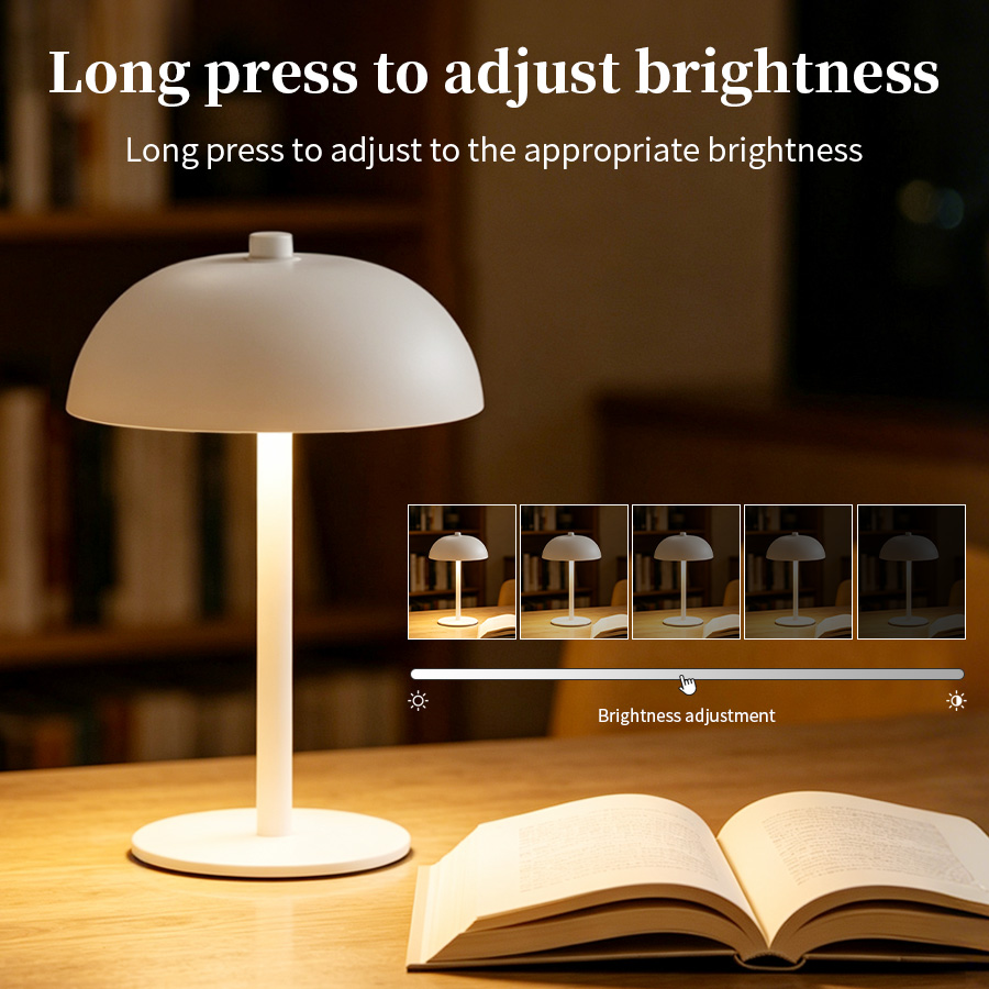 Cordless Mushroom Desk Lamp 3  - Mushroom Table Lamp review and price